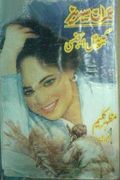 Capital Agency Imran Series Urdu Novel by Mazhar Kaleem MA