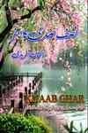 nisf sadi ka safar by afshan afridi romantic urdu novel on kitab ghar